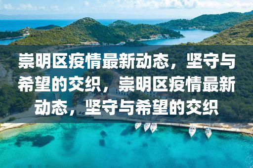 2025年新澳正版免费大全的全面释义与澳门一码一特一中每一期预测正版射牌-创新解读、解释与落实,拒绝虚假的伪装