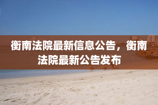 衡南法院最新信息公告,衡南法院最新公告发布
