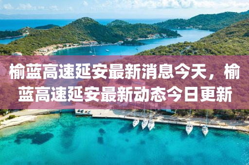 榆蓝中山市多米克自动化设备有限公司高速延安最新消息今天,榆蓝高速延安最新动态今日更新